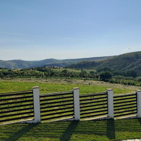 Vila Aloman Sebeş Buitenkant foto
