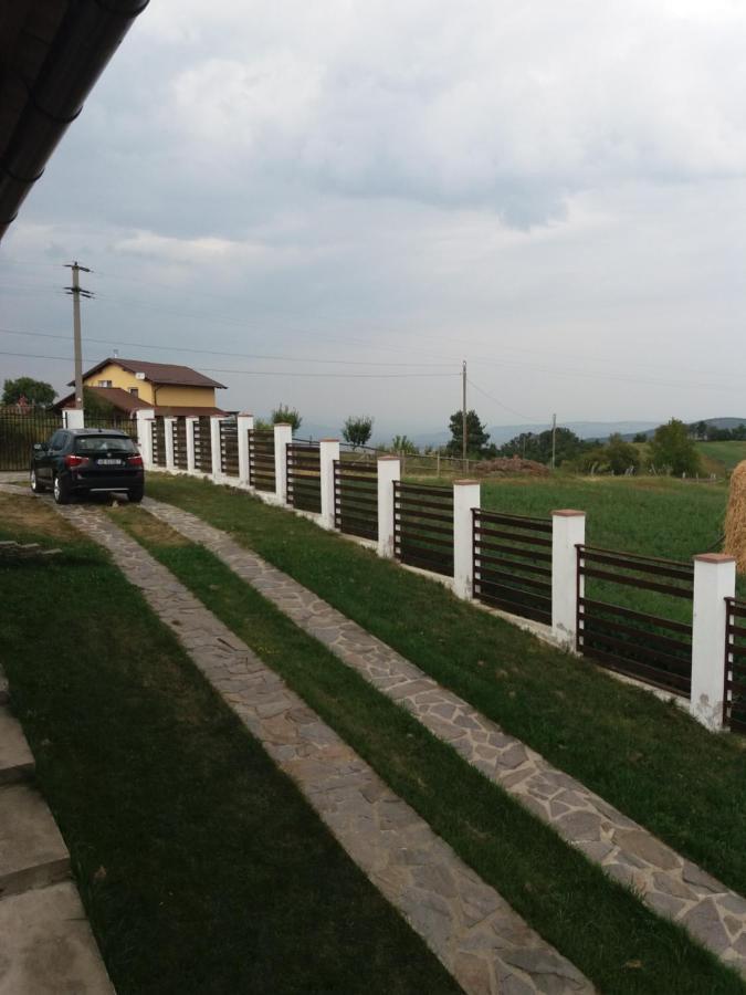 Vila Aloman Sebeş Buitenkant foto
