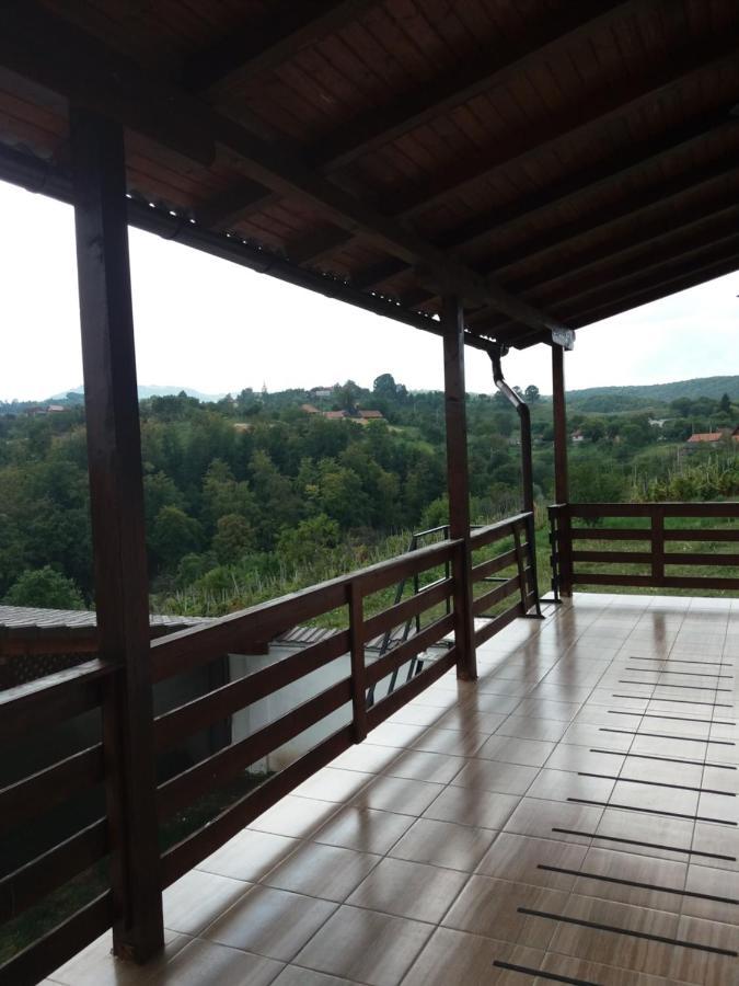 Vila Aloman Sebeş Buitenkant foto