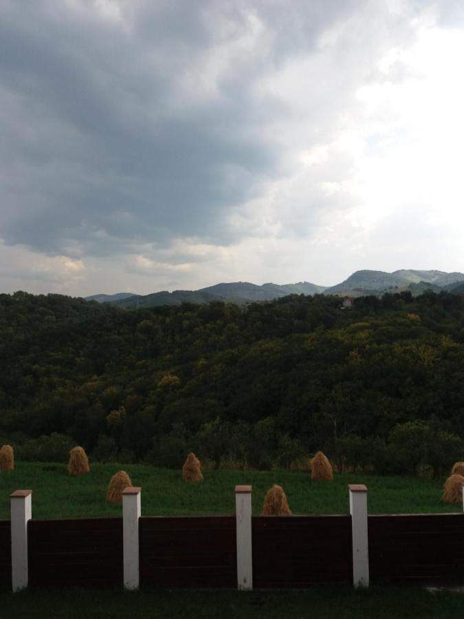 Vila Aloman Sebeş Buitenkant foto