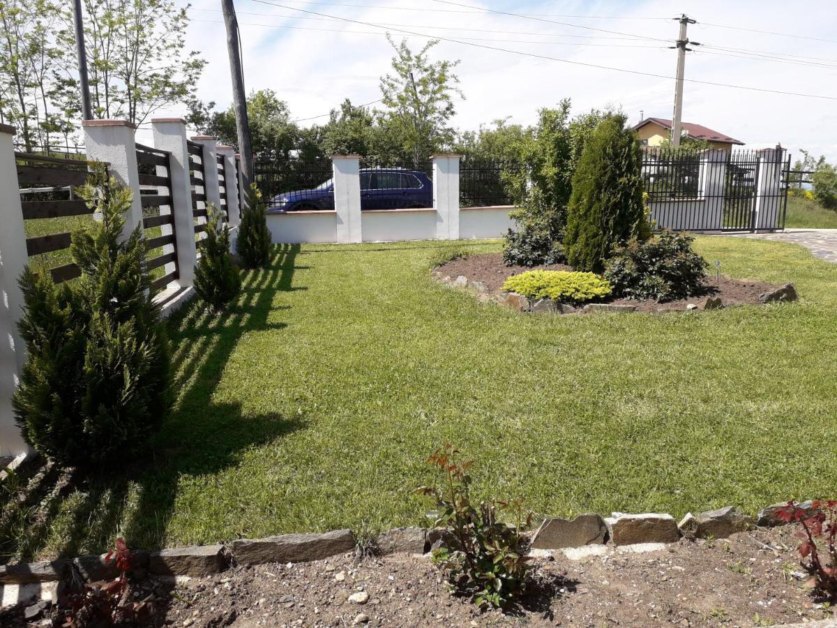 Vila Aloman Sebeş Buitenkant foto