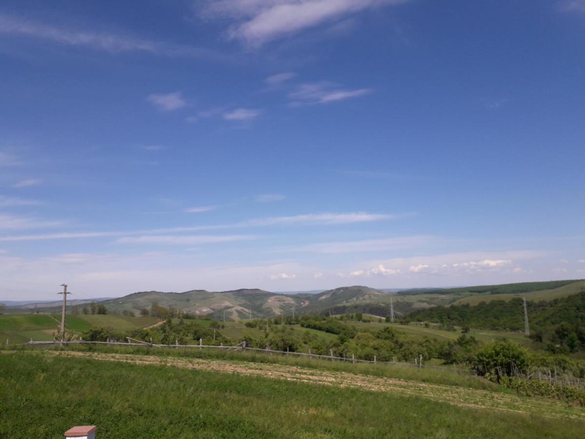 Vila Aloman Sebeş Buitenkant foto