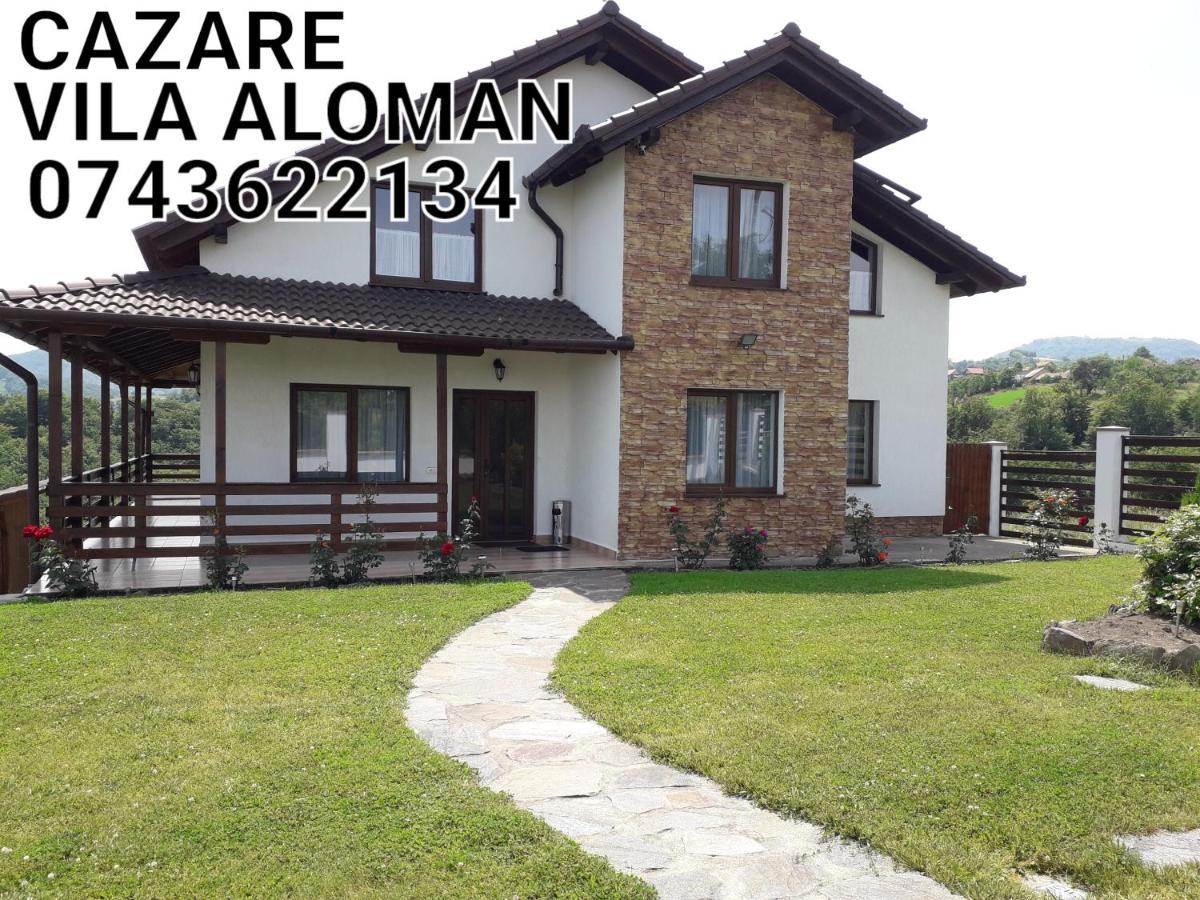 Vila Aloman Sebeş Buitenkant foto